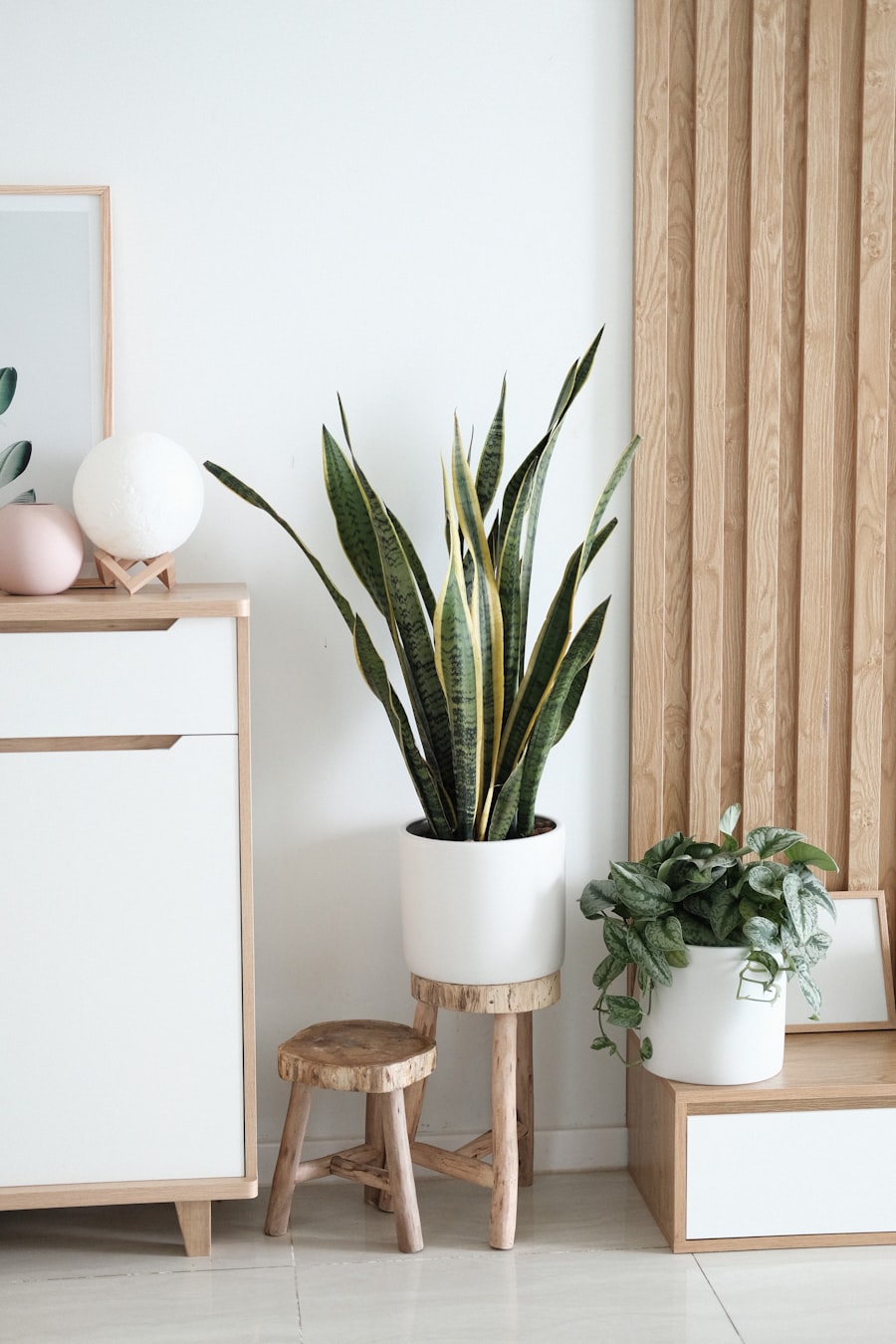 Mango Wood Sideboard